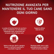 Purina One mini delicate crocchette per cani small con manzo e riso 3 x 800g