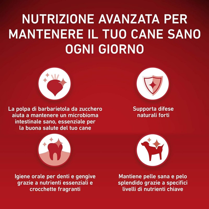 Purina Purina One mini delicate crocchette per cani small con manzo...