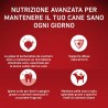 Purina Purina One mini delicate crocchette per cani small con manzo...
