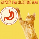FRISKIES croccantini per gatto adulto al gusto manzo pollo e verdure c