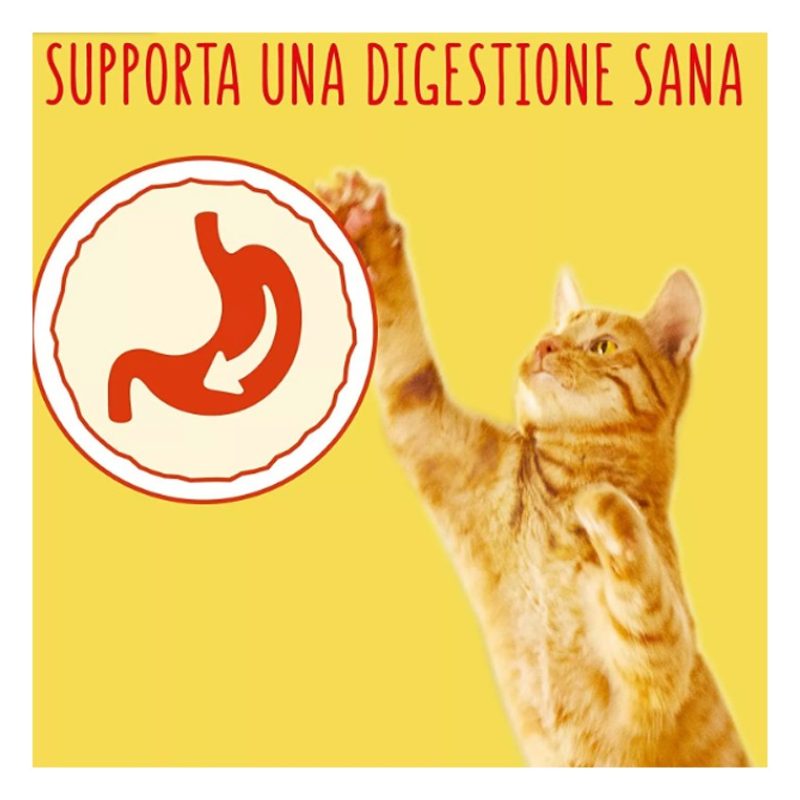 Purina FRISKIES croccantini per gatto adulto al gusto manzo pollo e...