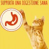 Purina FRISKIES croccantini per gatto adulto al gusto manzo pollo e...