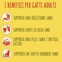 FRISKIES croccantini per gatto adulto al gusto manzo pollo e verdure c
