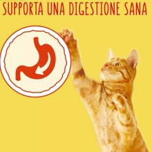 FRISKIES croccantini per gatto adulto al gusto tonno e verdure 2 Kg Purina