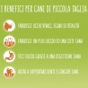 Purina Friskies Vitafit Mini Crocchette per Cani Con Pollo tacchino...