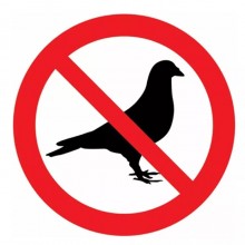 Repellente disabituante per piccioni e uccelli RHUTTEN dosatore spray 2 x 750ml