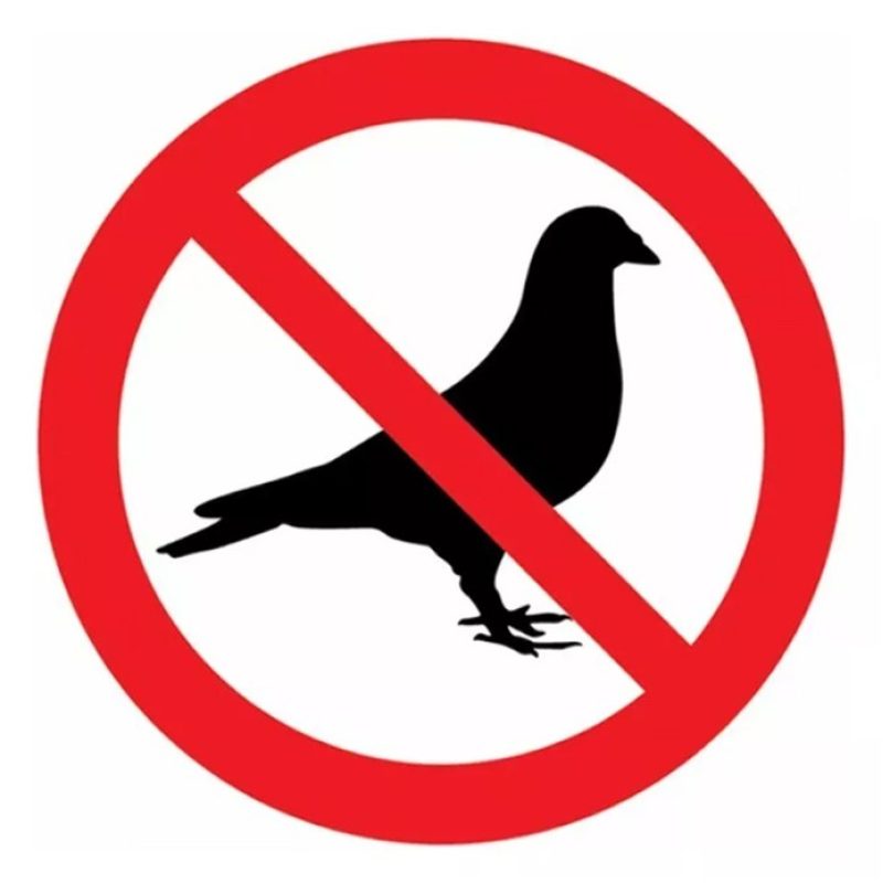 Rhutten Repellente disabituante per piccioni e uccelli RHUTTEN dosa...