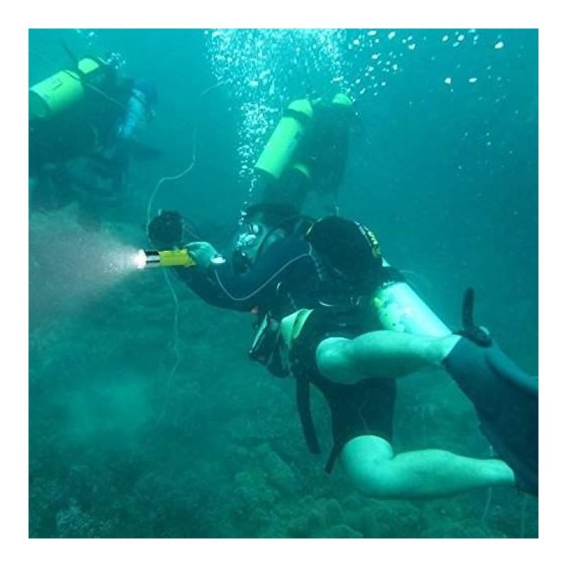 Torcia Led Subacquea 100 metri Luce immersione diving sub snorkeling 1600 Lumen