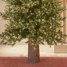 Hongu Tronco Base Piede Albero di Natale 50cm Decorazione Effetto L...