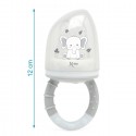 Ciuccio Frutta Neonati per Alimenti bambini in Silicone 6 mesi senza BPA Ftalati