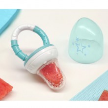 Ciuccio Frutta Neonati Ciuccio per Alimenti in Silicone 6 mesi senza BPA Ftalati