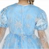 Guirca Costume Frozen Elsa carnevale principessa nevi vestito Guirc...