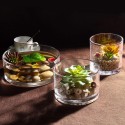 Cilindro in vetro clear diametro 12cm altezza 12cm composizione floreali arredo
