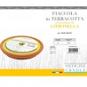 Officine candle Candela alla citronella antizanzare in terracotta f...