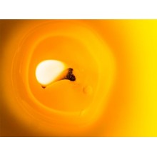 Set 30 Pezzi Candela Ecologica Al Profumo Di Citronella Anti Zanzare 8x6cm