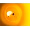 Officine candle Set 30 Pezzi Candela Ecologica Al Profumo Di Citron...