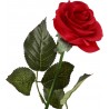 Due Esse Bouquet Di Fiori Di 12 Rose Artificiali mazzo Di Piante Fi...