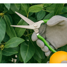 Forbice Cesoia da Potatura manuale 200mm in Acciaio Inox Tagliarami con Molla