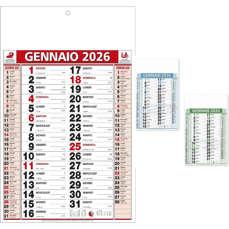 100 pezzi Calendario muro Olandese lungo e stretto 2026 ufficio cas...
