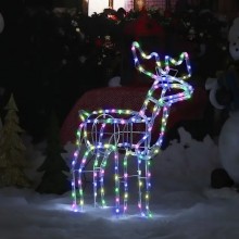 Renna Luminosa Di Natale Led Natalizia decorazione luci Esterno multicolore