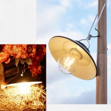 Lampada Campeggio LED Plafoniera Ricaricabile Luce Calda