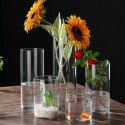 Vaso Cilindro In Vetro Trasparente 16x12 Cm per fiori piante decorativo casa