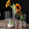 Vaso Cilindro In Vetro Trasparente 16x12 Cm per fiori piante decora...