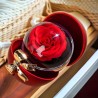 Generico Rosa Rossa Eterna Stabilizzata cofanetto, Idea Regalo Donn...