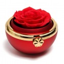 Cofanetto Scatola con Rosa Rossa eterna per Anello Fidanzamento senza collana