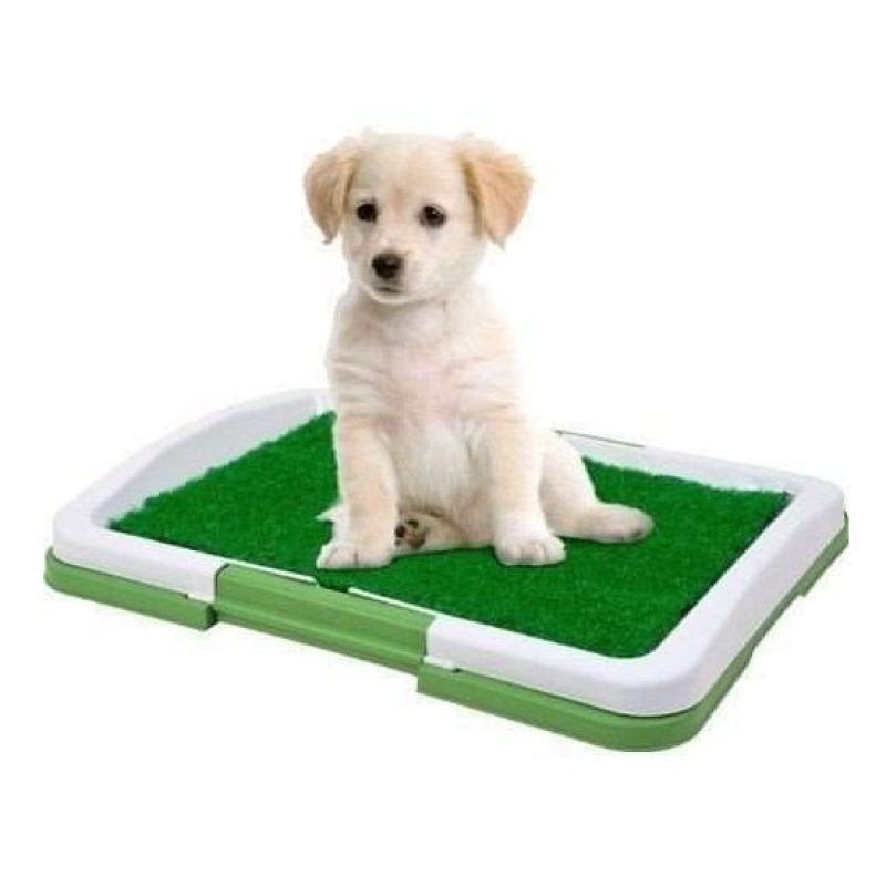 Lettiera mini wc per cani e gatti con erba sintetica assorbente 