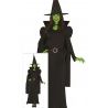 Guirca Costume Carnevale Strega verde cattiva Elphaba Wicked Donna ...