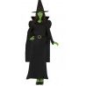 Guirca Costume Carnevale Strega verde cattiva Elphaba Wicked Donna ...