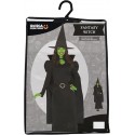 Costume Carnevale Strega verde cattiva Elphaba Wicked Donna Halloween