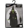 Guirca Costume Carnevale Strega verde cattiva Elphaba Wicked Donna ...