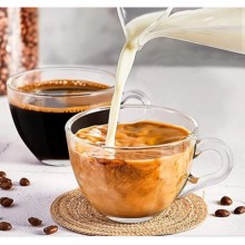 Set di 6 tazzine da caffè senza piattino da 90 ml in vetro trasparente espresso