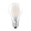 Lampadina LED luce calda fredda naturale 6 W E27 ecologica bulbo casa interno
