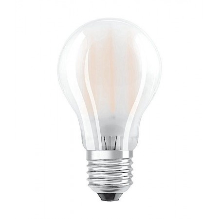 Lampadina LED luce calda fredda naturale 6 W E27 ecologica bulbo casa interno