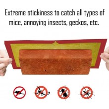 12 x Trappola Adesiva per Topi e Ratti, Trappole atossiche 17x24 cm Pronto Uso