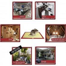 12 x Trappola Adesiva per Topi e Ratti, Trappole atossiche 17x24 cm Pronto Uso