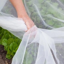 Telo Termoclima TNT antigelo 2.4x10m piante ortoclima terreno giardino rete