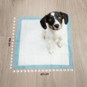 50 Tappetini Assorbenti Per Cani 60x90cm Cuccioli Traverse Pannolin...