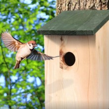 Casetta per uccelli legno naturale tetto verde voliera casa uccellini 18x16x27cm