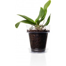 Kit 3 Vasi per Orchidee Kalapanta Trasparente in plastica forati e Sottovasi