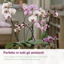 Kit 3 Vasi per Orchidee Kalapanta Trasparente in plastica forati e Sottovasi