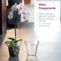 Kit 2 Vasi per Orchidee Kalapanta Trasparente in plastica forati e 2 Sottovasi