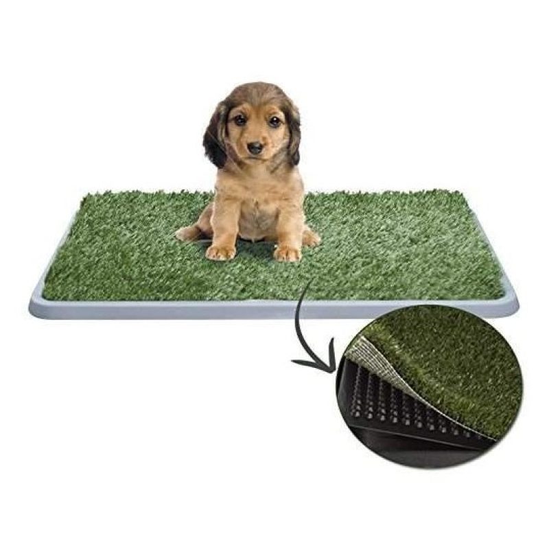  Lettiera MAXI wc per cani e gatti cuccioli di media taglia con erba sintetica assorbente ottima per addestramento Potty Patch
