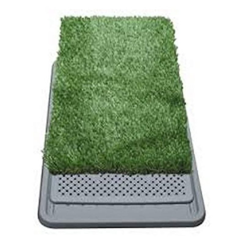  Lettiera MAXI wc per cani e gatti cuccioli di media taglia con erba sintetica assorbente ottima per addestramento Potty Patch