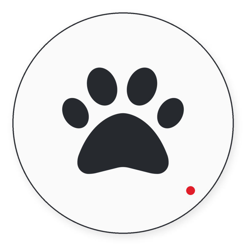 Animali domestici